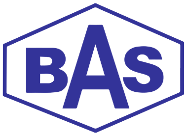 Brammer Standard logo